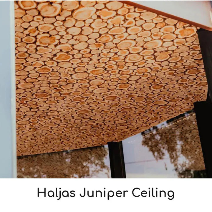Haljas House Juniper Celing