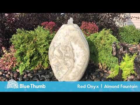 Blue Thumb - 30" Red Onyx Almond Fountain Kit video