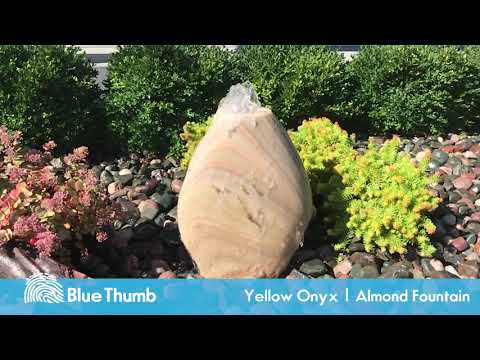 Blue Thumb - 24" Yellow Onyx Almond Fountain Kit video