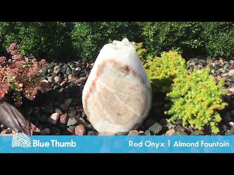  Blue Thumb - 18" Red Onyx Almond Fountain Kit video